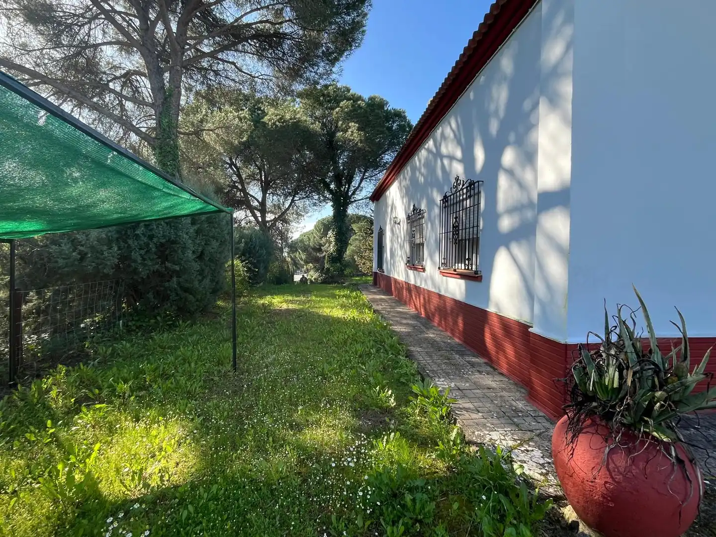 Chalet con jardín en venta en Diseminado Cuco Alto 1, imagen 3