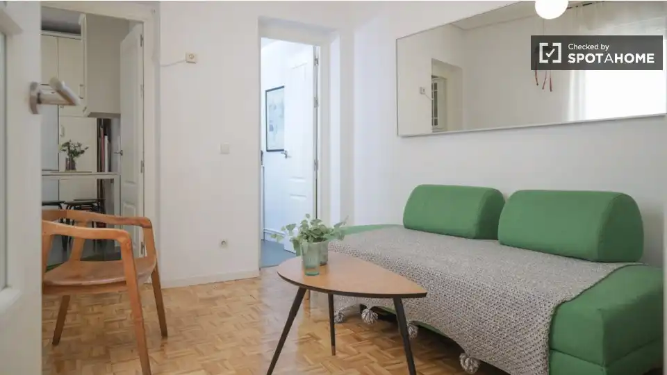Appartamento con terrazza in affitto a Centro