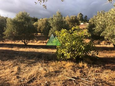 Rustikales Grundstück zum Verkauf in Barrio Venta Baja