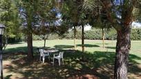 Garden of House or chalet for sale in Villar de Cañas  with Private garden, Storage room and Swimming Pool