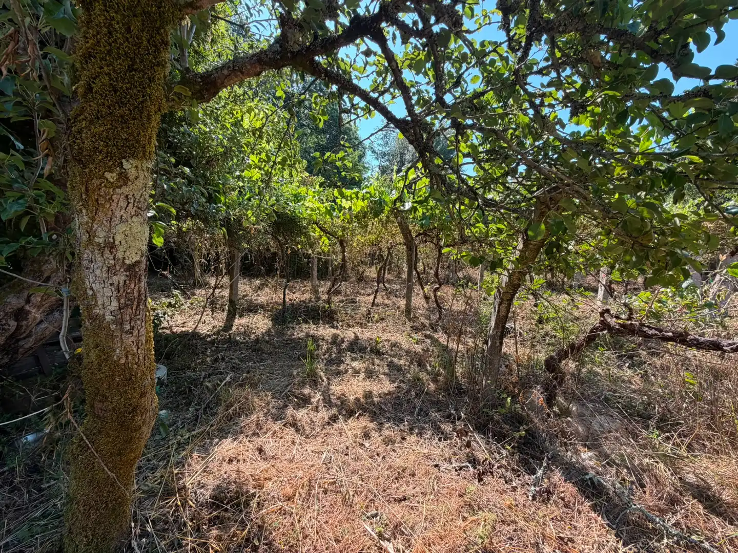Terreno residencial en venta en Ponteareas, imagen 12