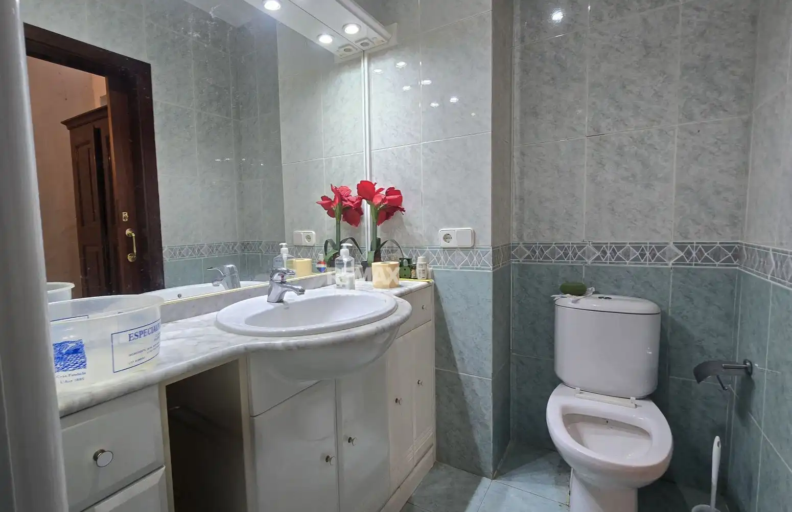Baño de Casa o chalet en venta en Brunyola i Sant Martí Sapresa con Amueblado