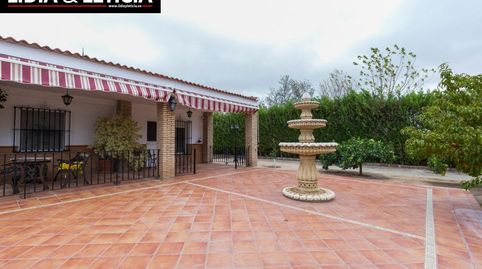 Foto 3 de Casa o chalet en venta en Nueva Alcalá, Alcalá de Guadaira