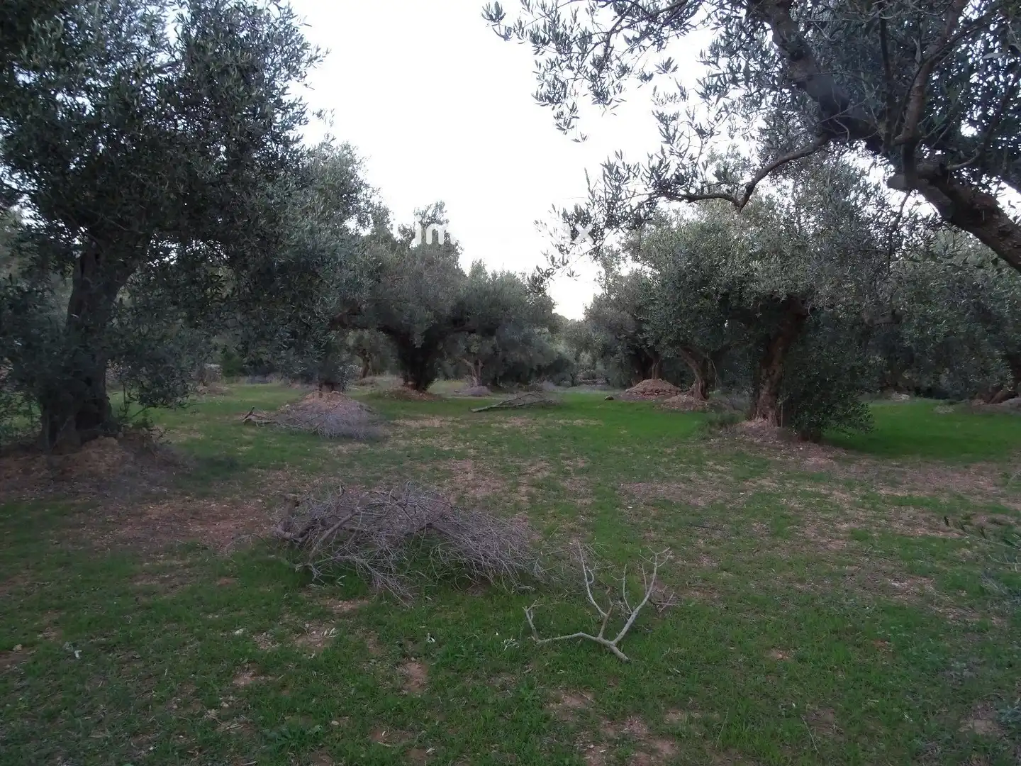 Terrain résidentiel à vendre à 12, imagen 16
