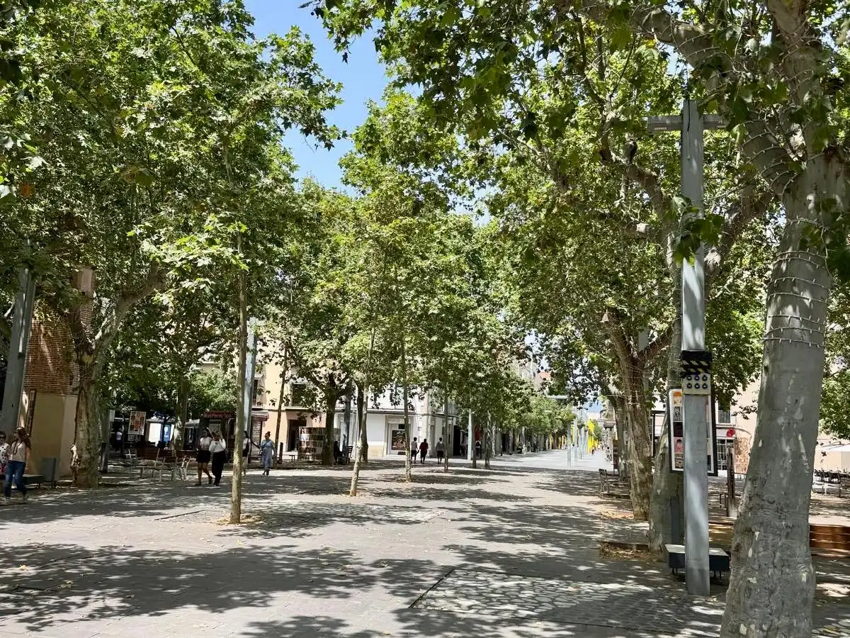 Vista exterior de Casa o xalet en venda en Granollers amb Calefacció, Jardí privat i Terrassa