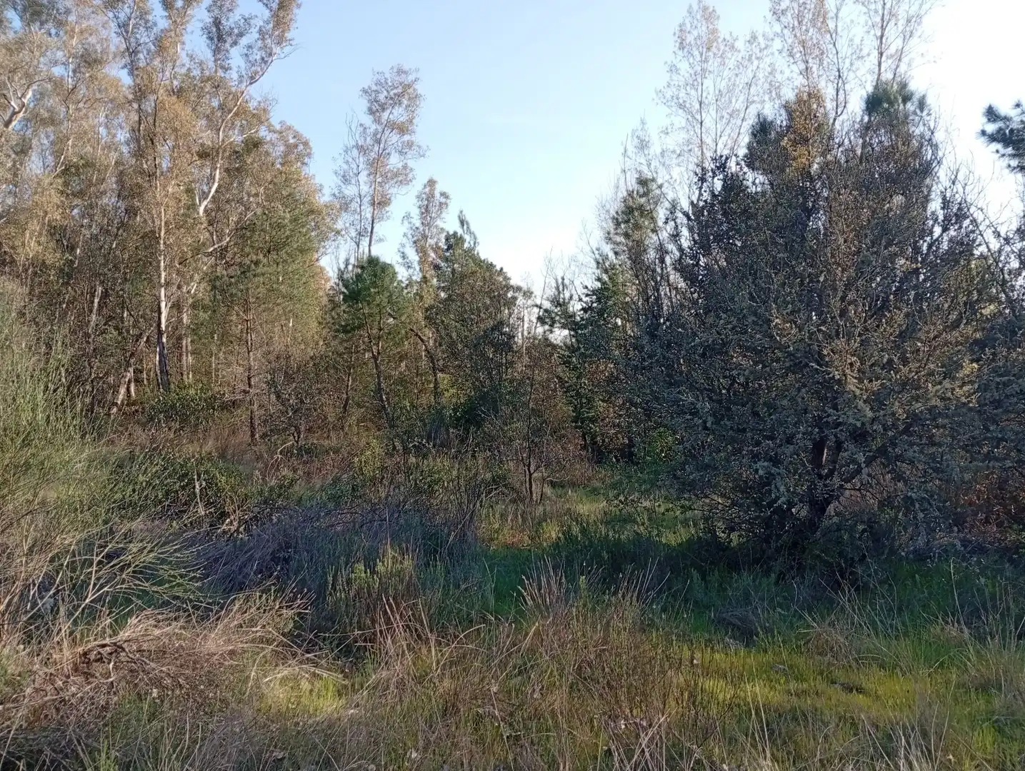 Terreni e lotti in vendita a Villanueva de la Vera, imagen 103