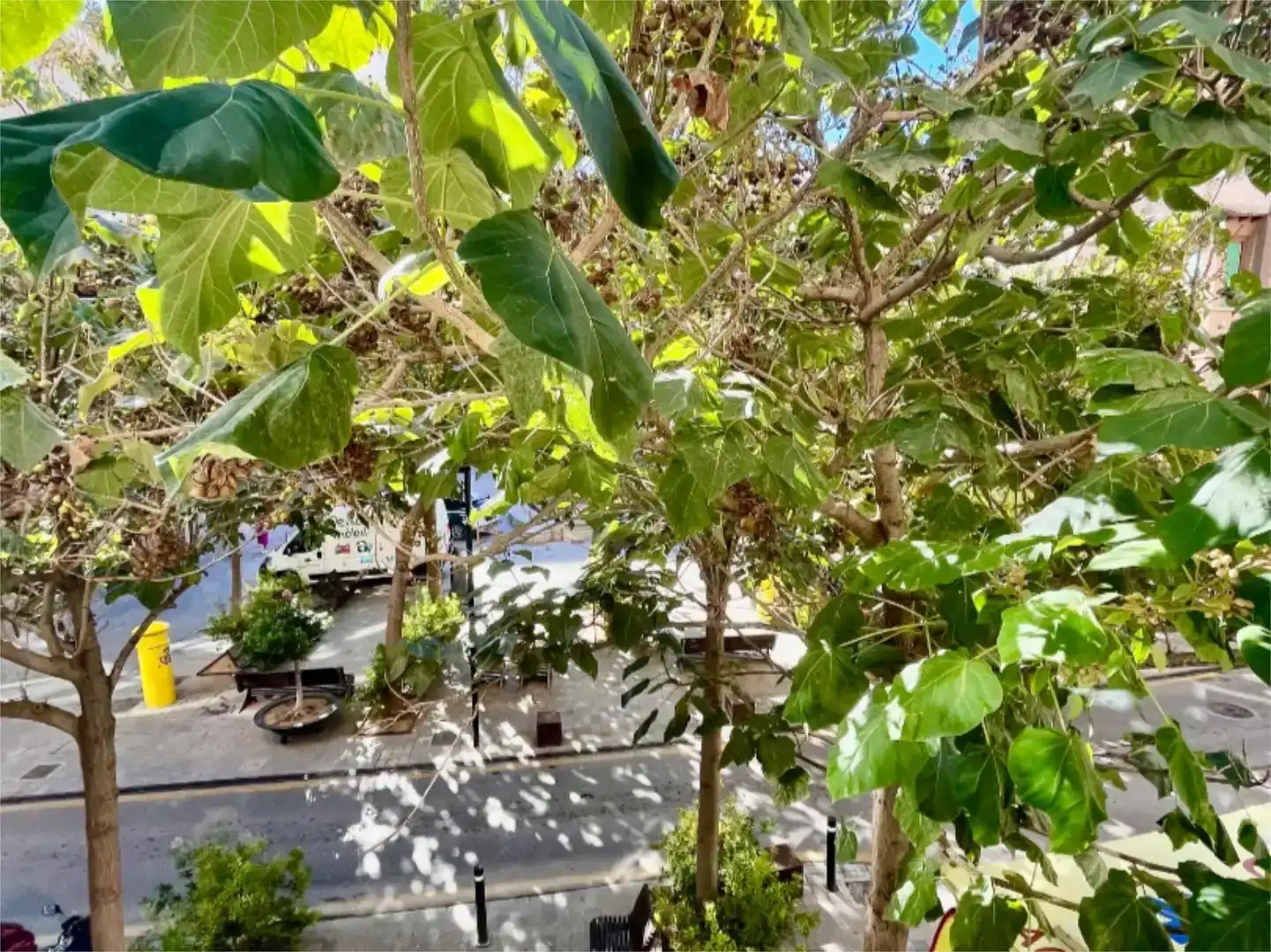 Vista exterior de Local en venta en Inca con Aire acondicionado