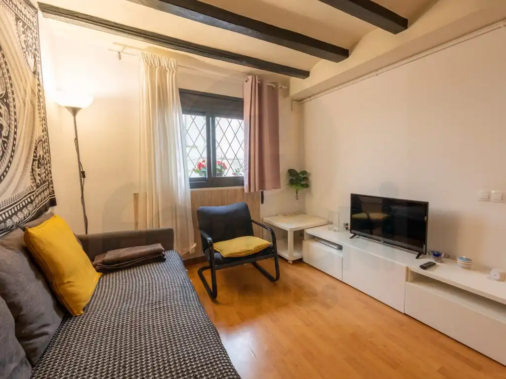 Sala de estar de Apartamento en venta en Barcelona