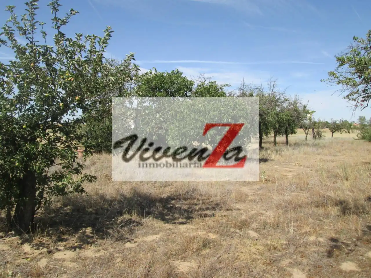 Terreno rustico in vendita a Entrala, imagen 2