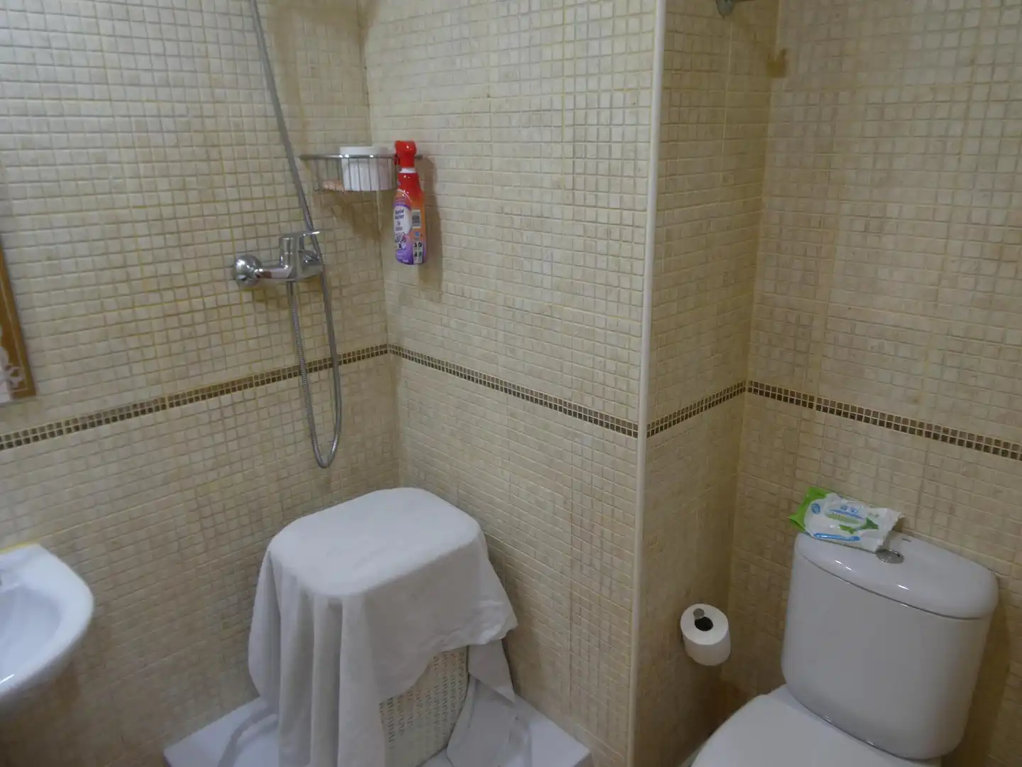 Baño de Planta baja en venta en Villanueva del Río Segura