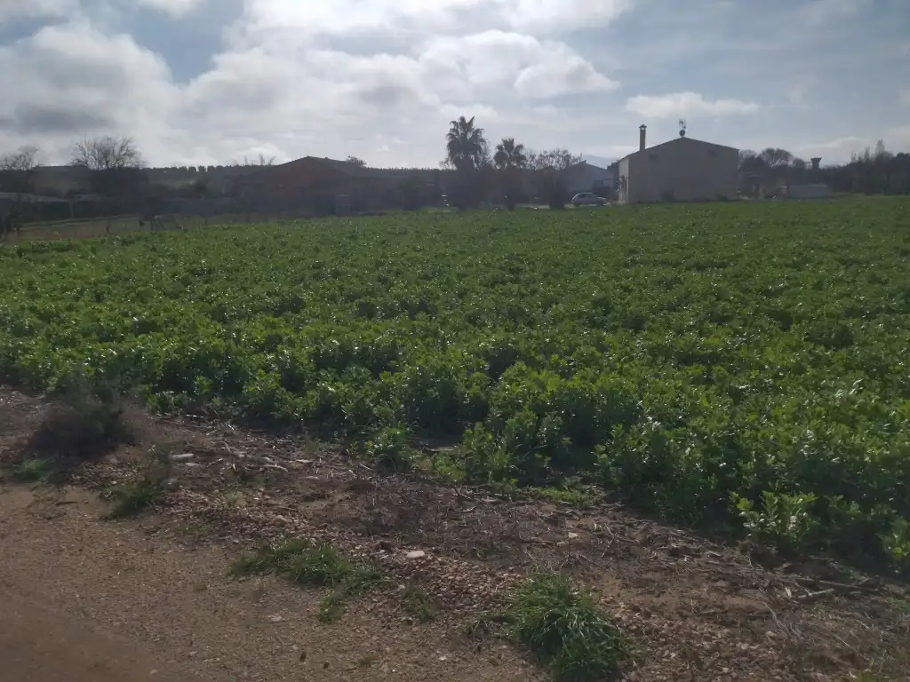 Terreno rustico in vendita a Mengabril, imagen 3