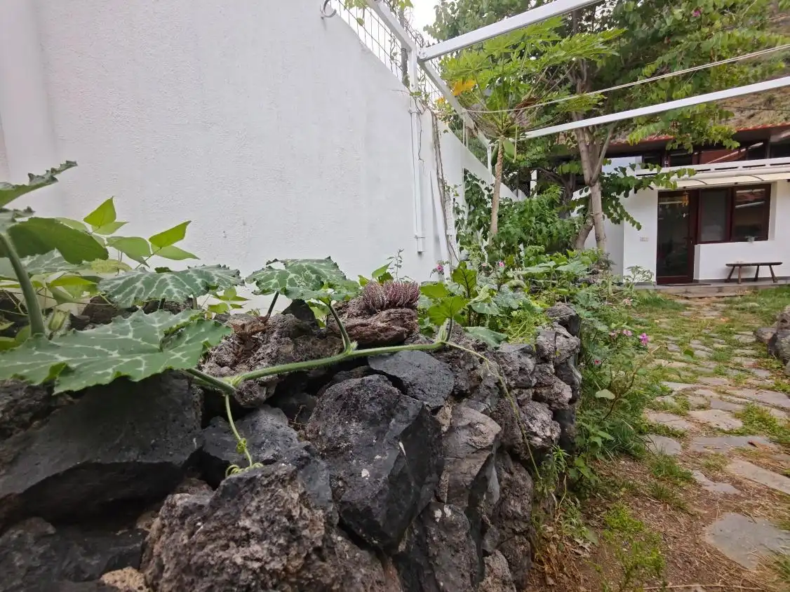 Casa con jardín en venta en Garachico, imagen 38