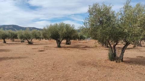 Foto 5 de Terreny en venda a Carretera de Córdoba - Libertad, Ciudad Real