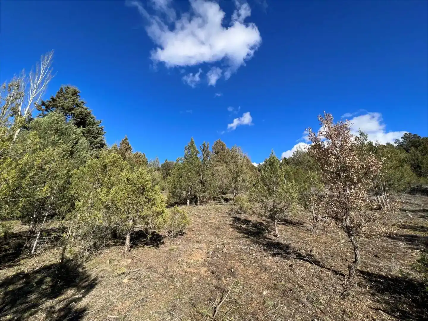 Terreno en venta en Duruelo