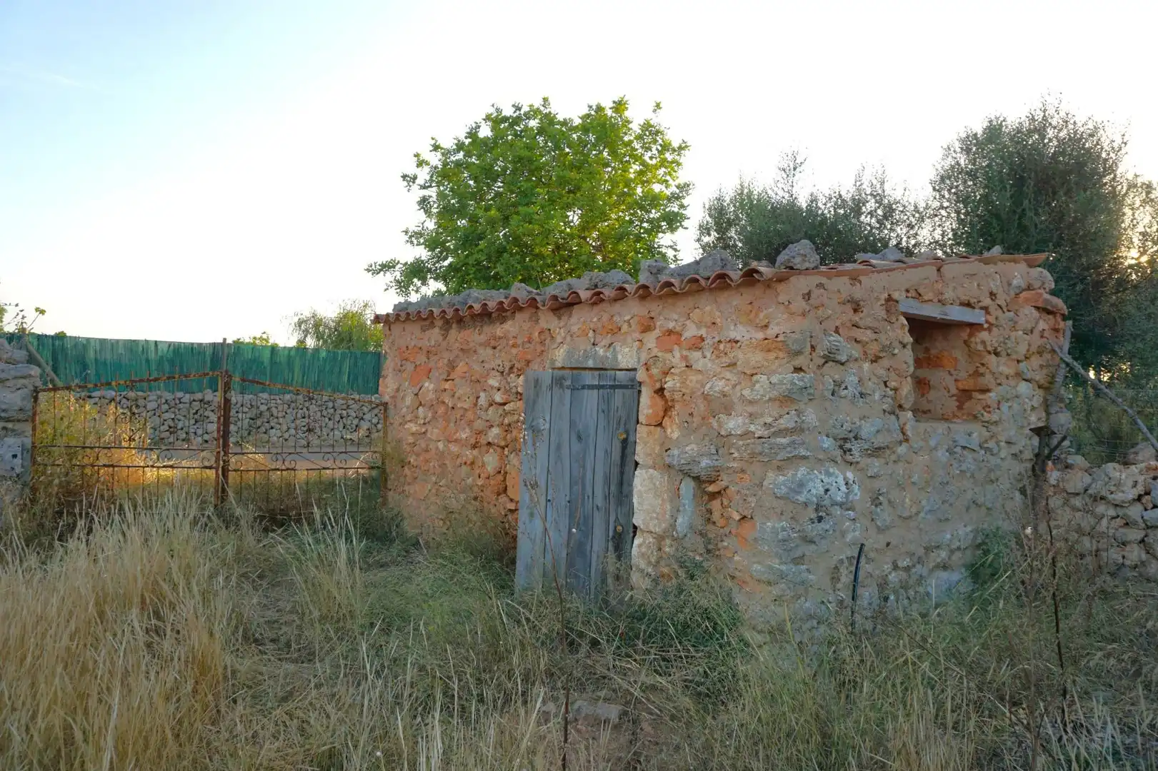 Terreno rustico in vendita a Santa Margalida Poble