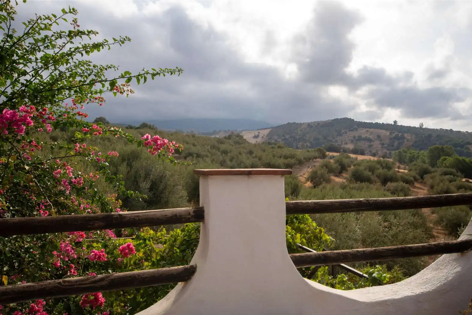 Garden of Houses for sale in Periana  with Air Conditioner, Private garden and Terrace
