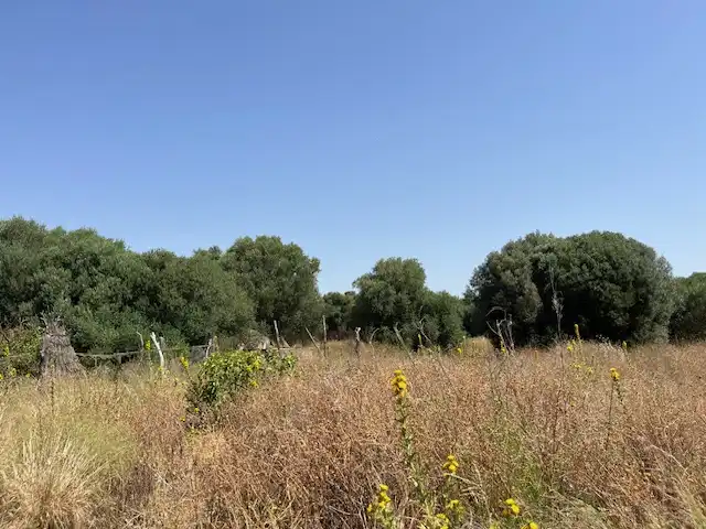 Terreni e lotti in vendita a Vejer, imagen 20