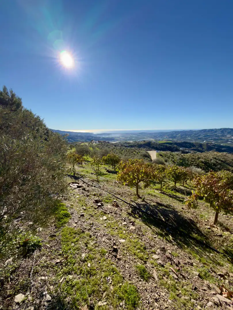 Vista exterior de Casa o xalet en venda en Vélez-Málaga amb Piscina