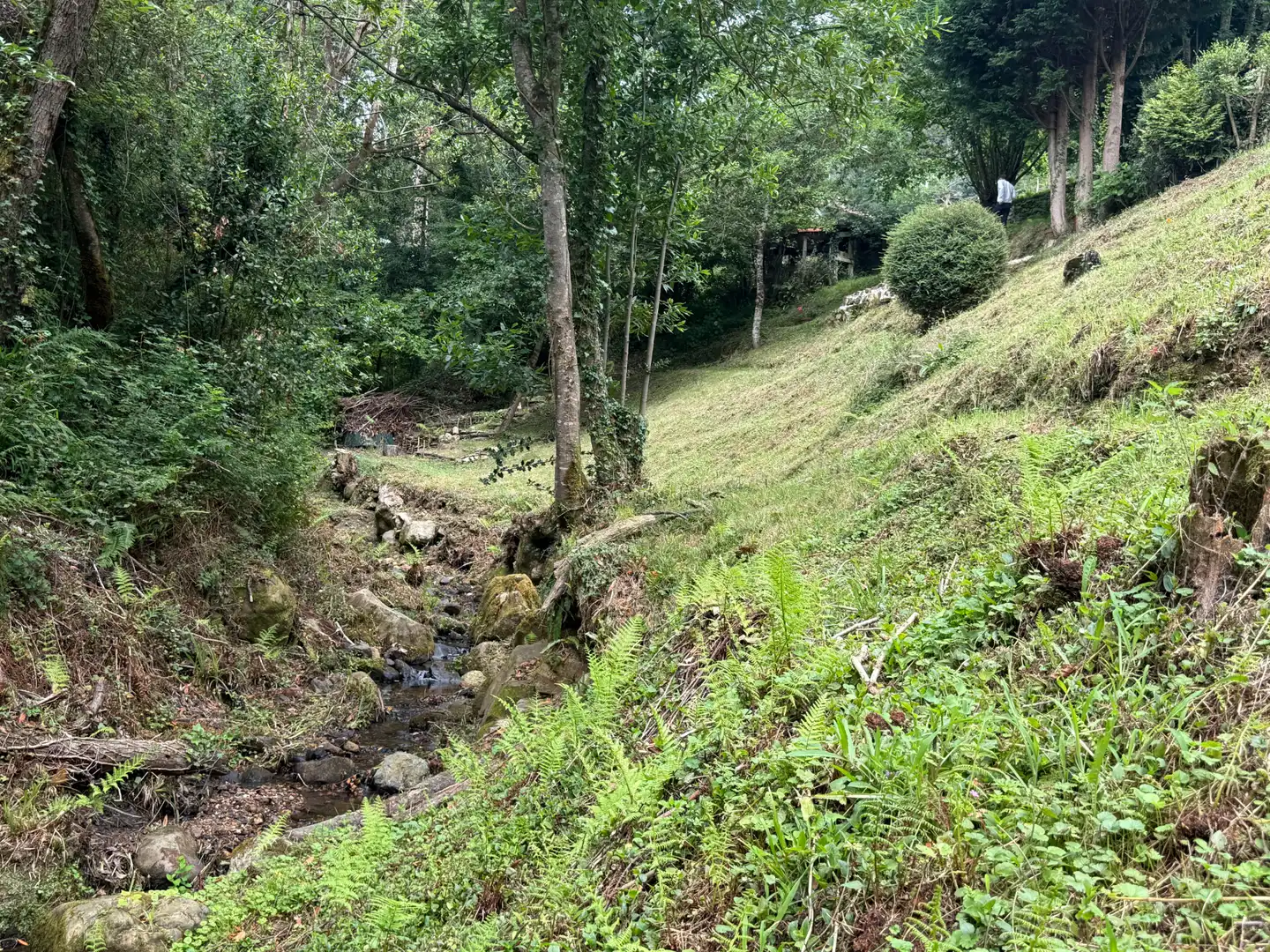 Vista exterior de Casa o xalet en venda en Ribadesella amb Calefacció, Jardí privat i Parquet