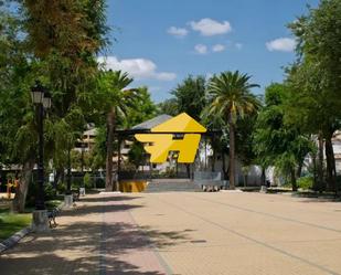 Vista exterior de Àtic de lloguer en Lucena amb Aire condicionat, Jardí privat i Moblat