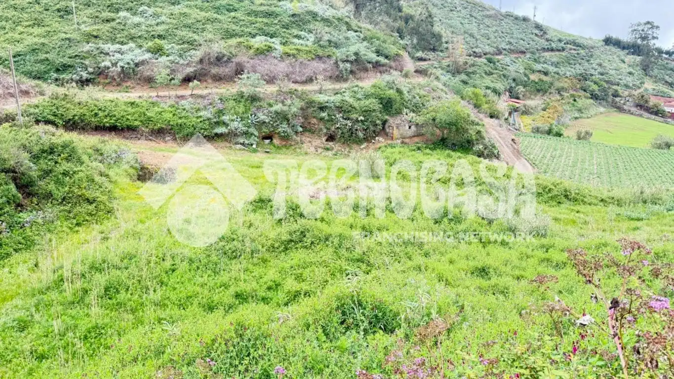 Terreno en venta en Moya (Las Palmas)