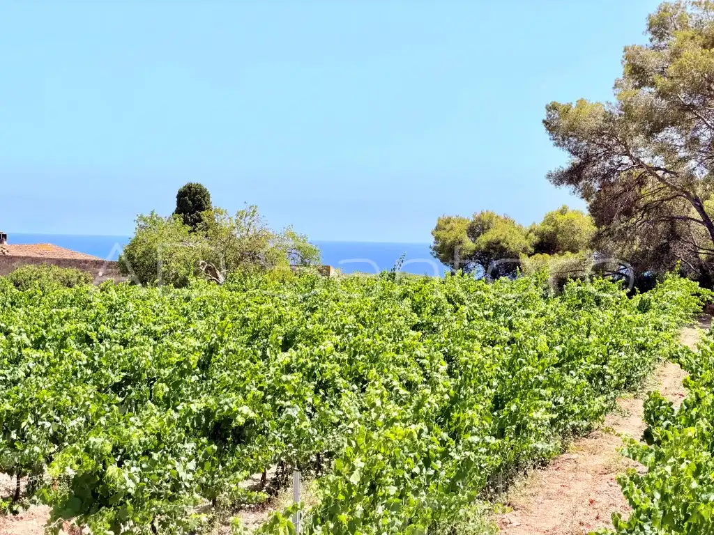 Casa o xalet en venda en Sant Pere de Ribes