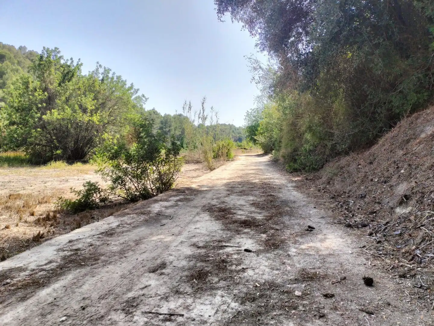 Local en venta en L'Alcúdia de Crespins