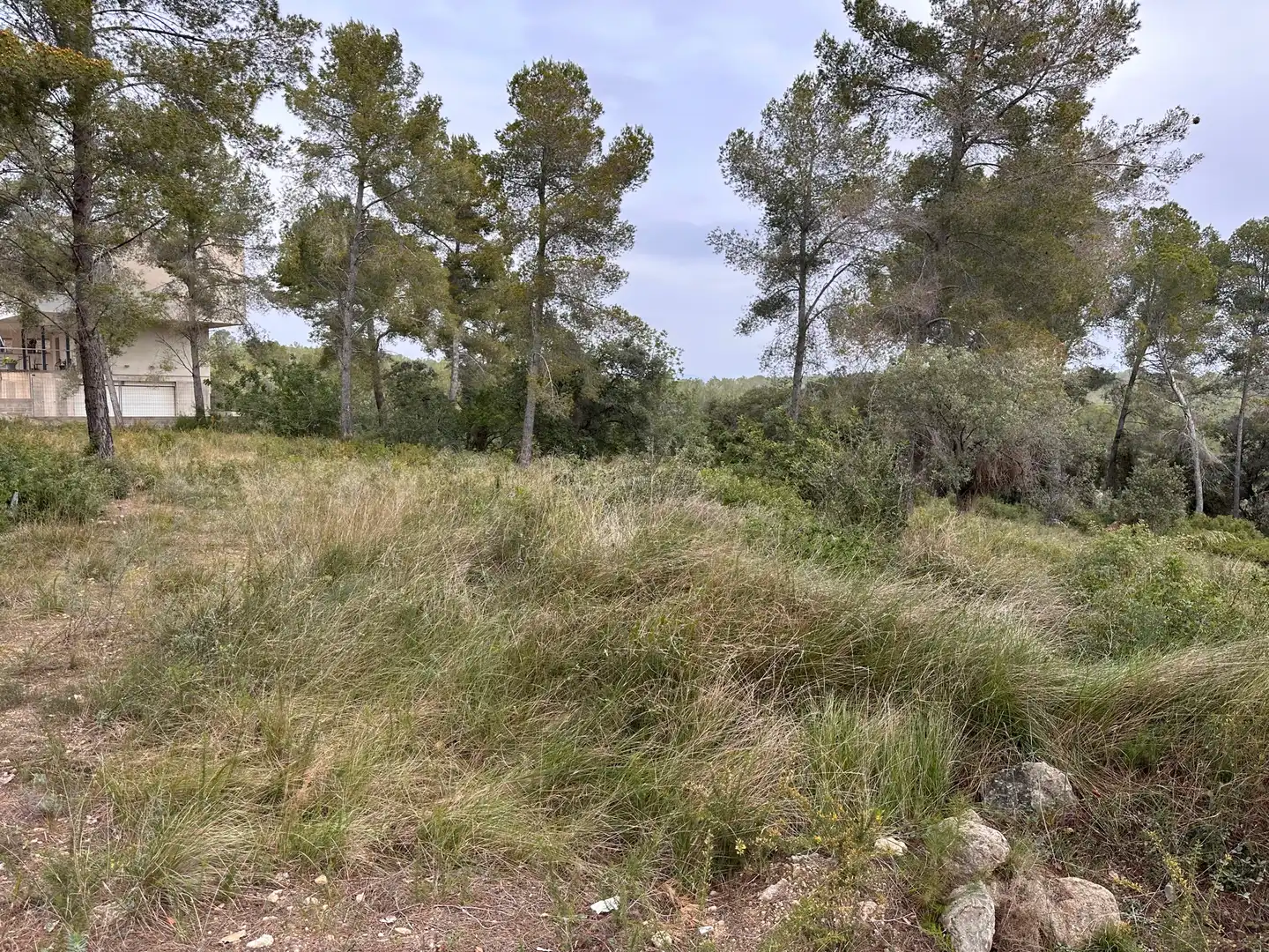 Terreno residencial en venta en Primera Avinguda 41, imagen 7