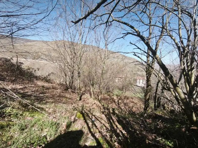 Terreni e lotti in vendita a Rionansa, imagen 23
