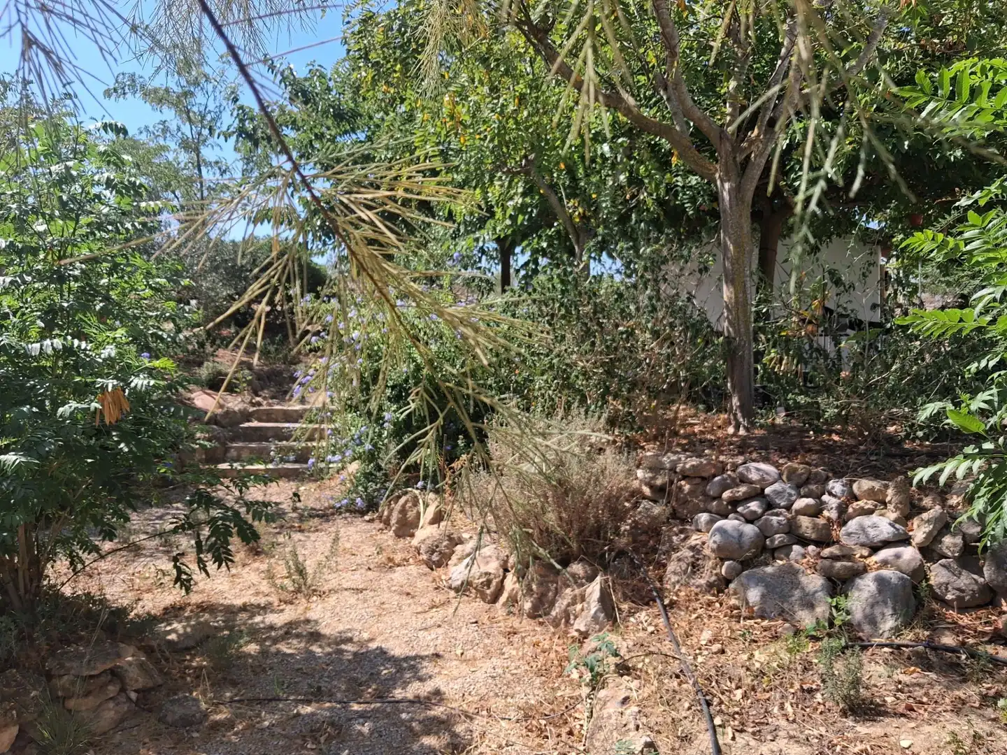Houses for sale in Xerta