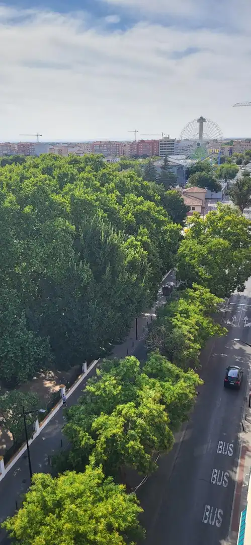 Attic for rent in Feria