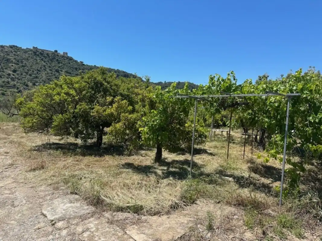 Terreno en venta en La Font d'en Carròs