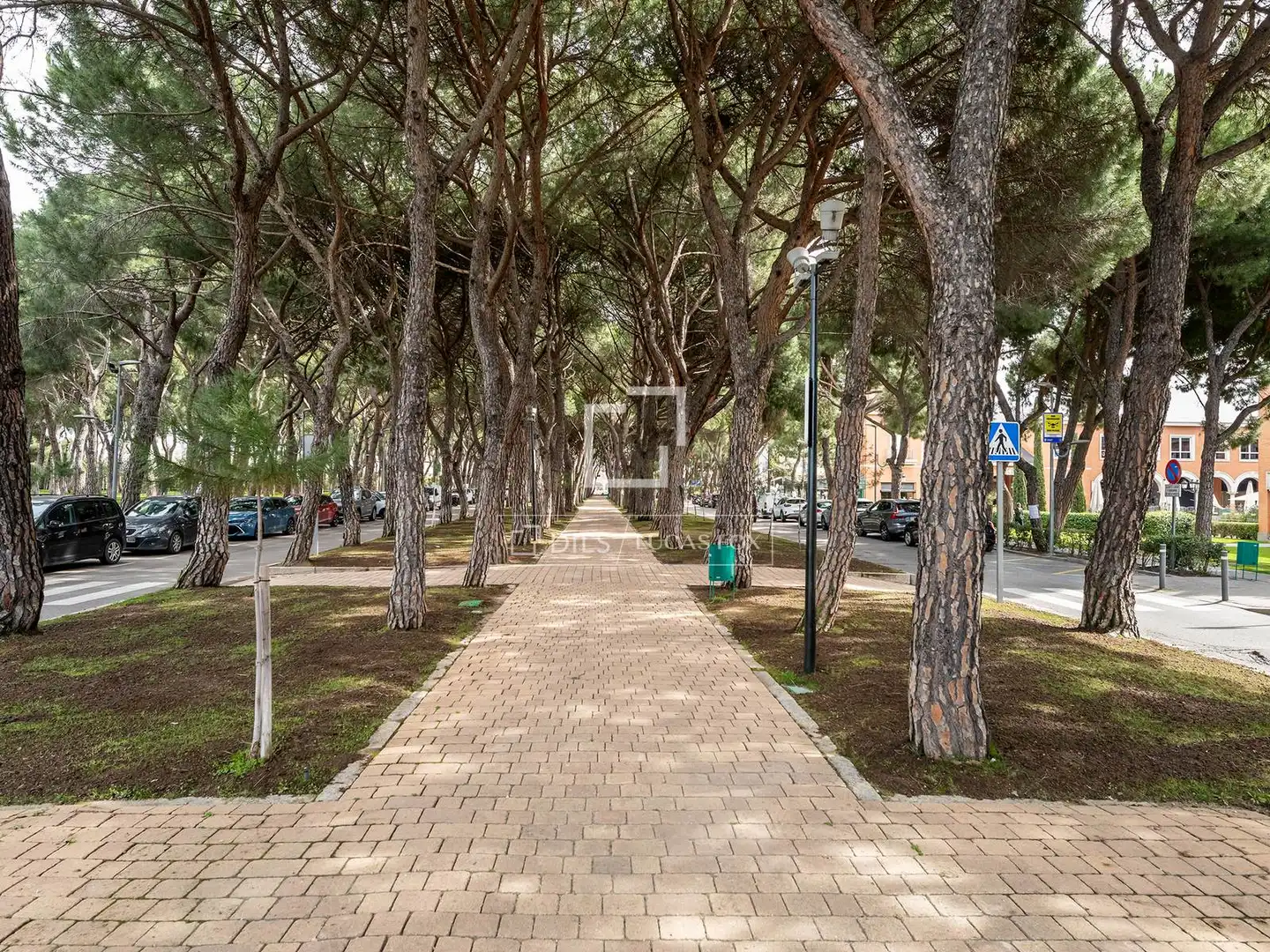 Vista exterior de Casa o xalet en venda en La Moraleja amb Aire condicionat, Calefacció i Jardí privat