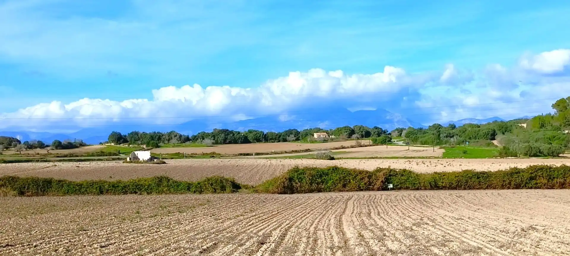 Wohnbaugrundstück zum Verkauf in Muro, imagen 7