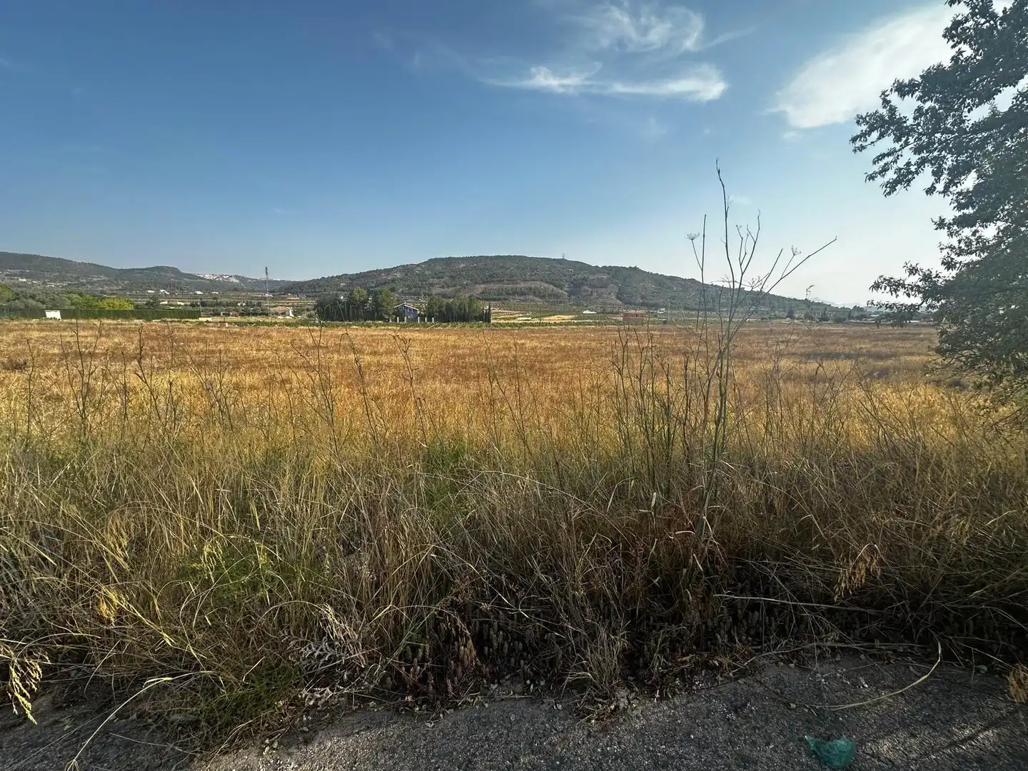 Residential land for sale in El Pinós / Pinoso, imagen 6