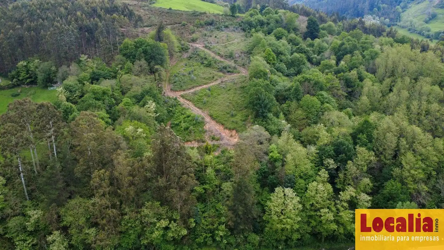 Terreno rustico in vendita a Poblado Valle, imagen 3