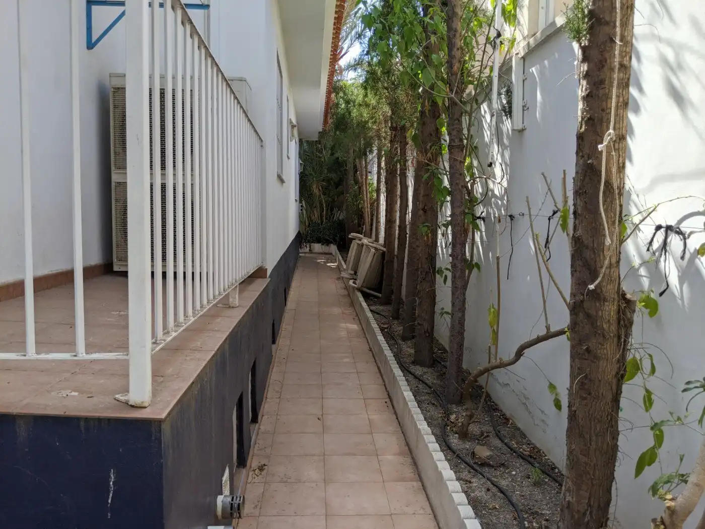 Casa o chalet en venta en Archena