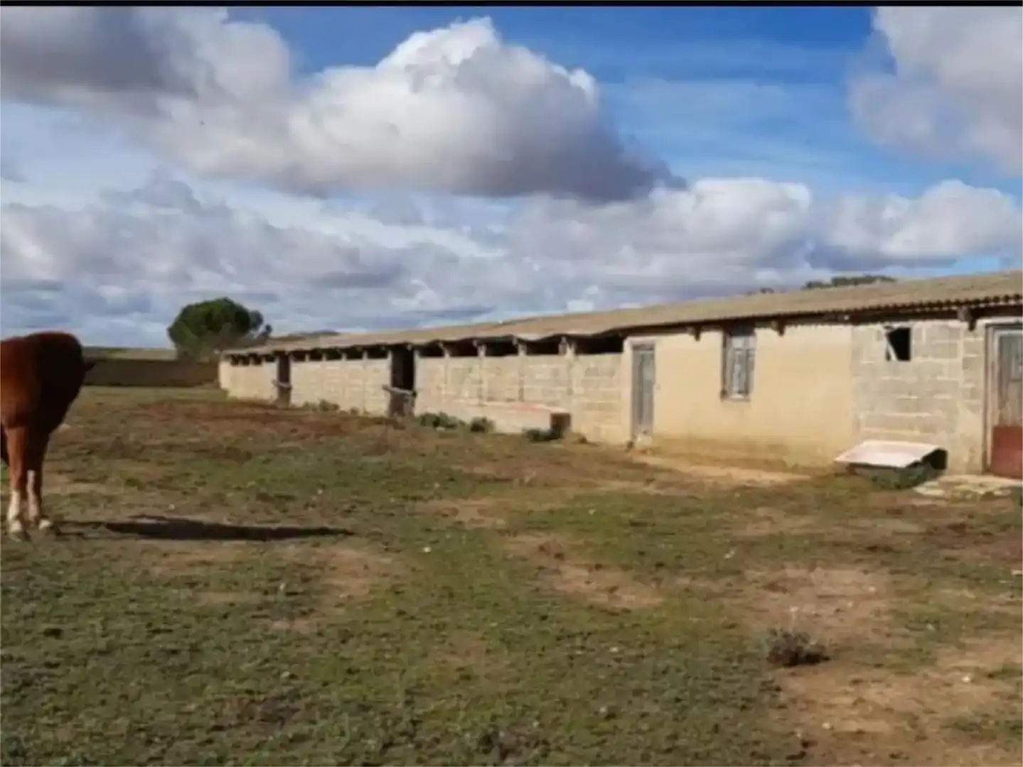 Finca rústica en venta en Cañizo