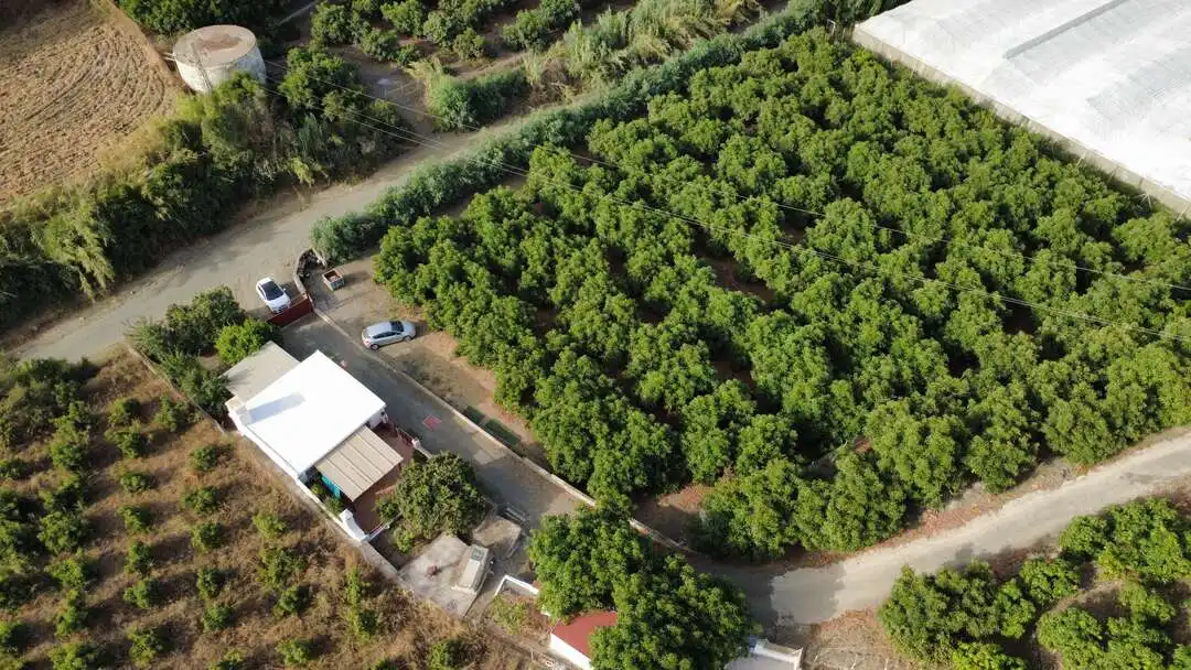 Vista exterior de Casa o xalet en venda en Benamocarra amb Jardí privat i Moblat