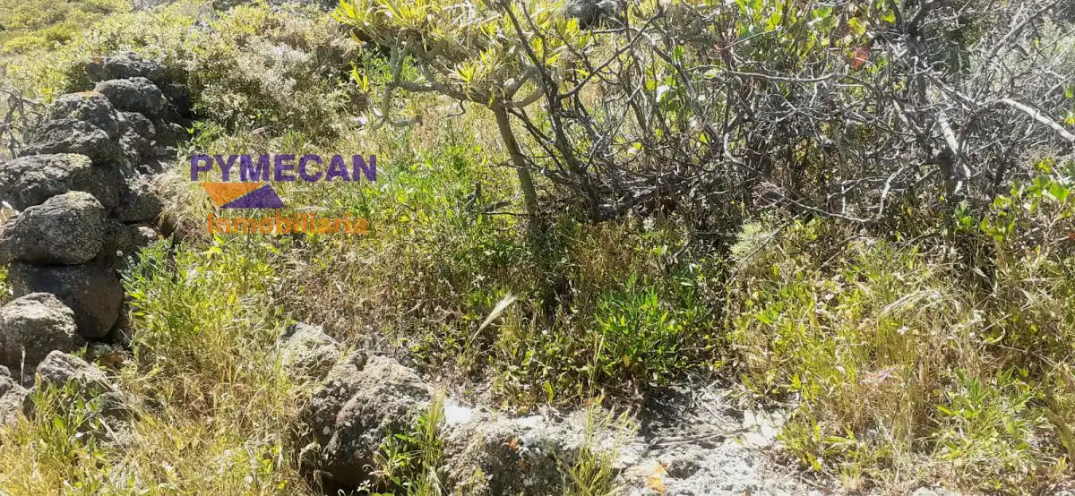 Finca rústica en venda en Valverde (Santa Cruz de Tenerife)