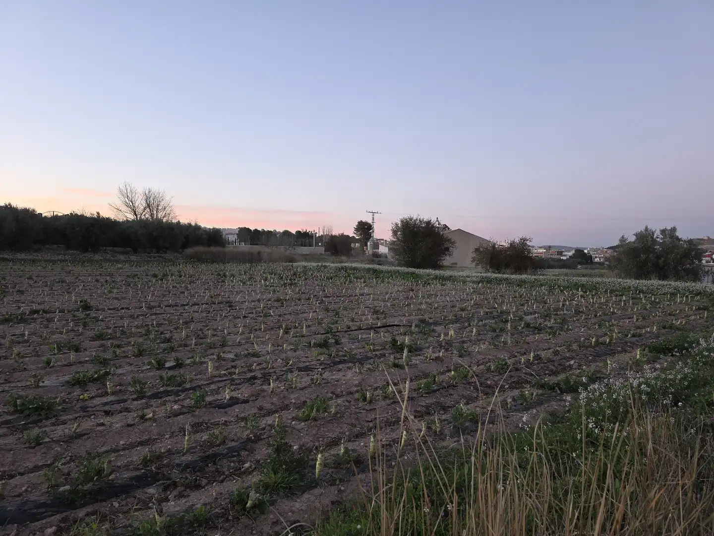 Terreny rústic en venda a Calasparra, imagen 2