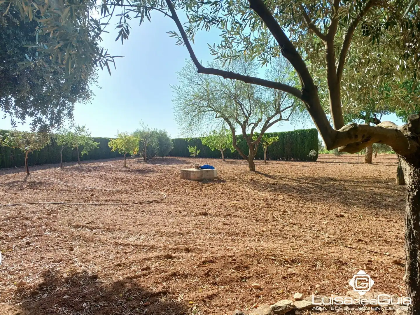 Terreno rustico in vendita a Campo de Criptana, imagen 19