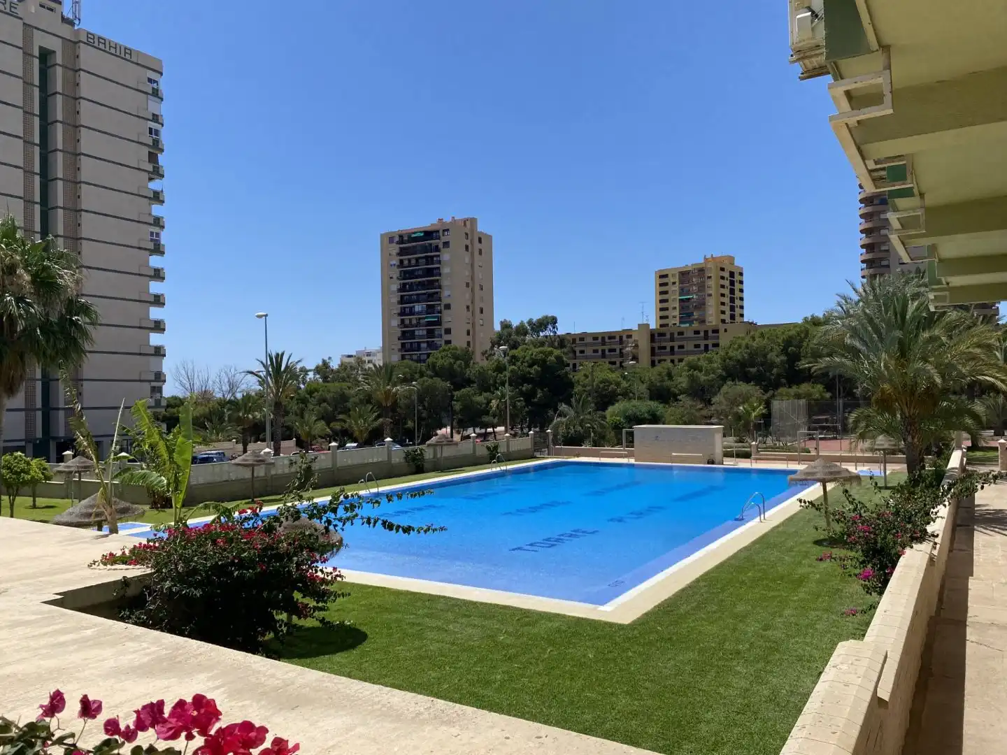Schwimmbecken von Wohnung zur Miete in Roquetas de Mar mit Klimaanlage und Balkon