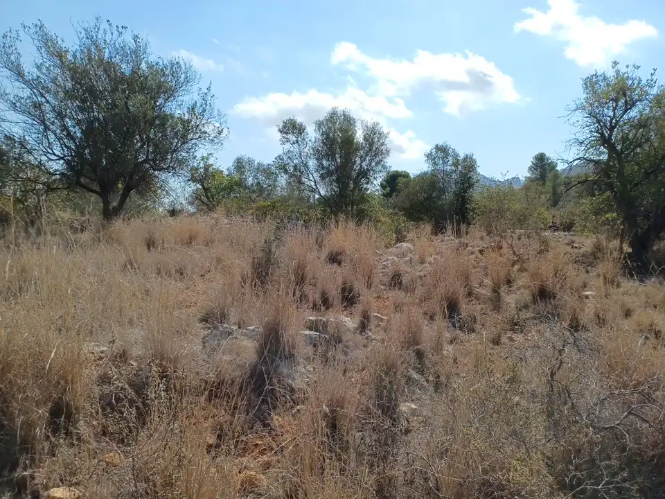 Terreno en venta en El Ràfol d'Almúnia