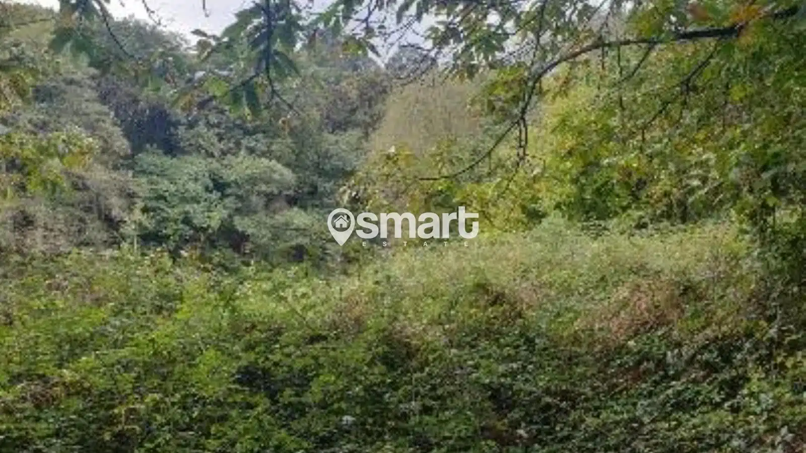 Terreno rustico in vendita a Villalegre - La Luz, imagen 14