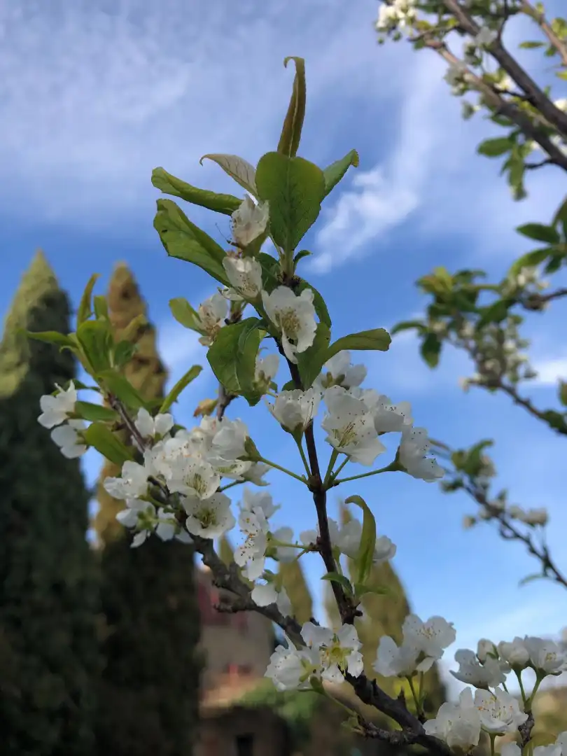 Jardí de Finca rústica en venda en Maià de Montcal amb Aire condicionat, Calefacció i Jardí privat