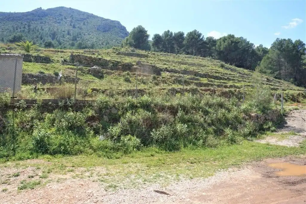 Terreny residencial en venda a Callosa d'en Sarrià, imagen 4