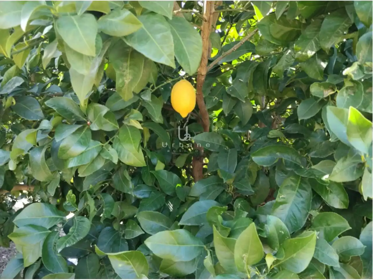 Terreny rústic en venda a Camino Huerta de Abajo, imagen 22