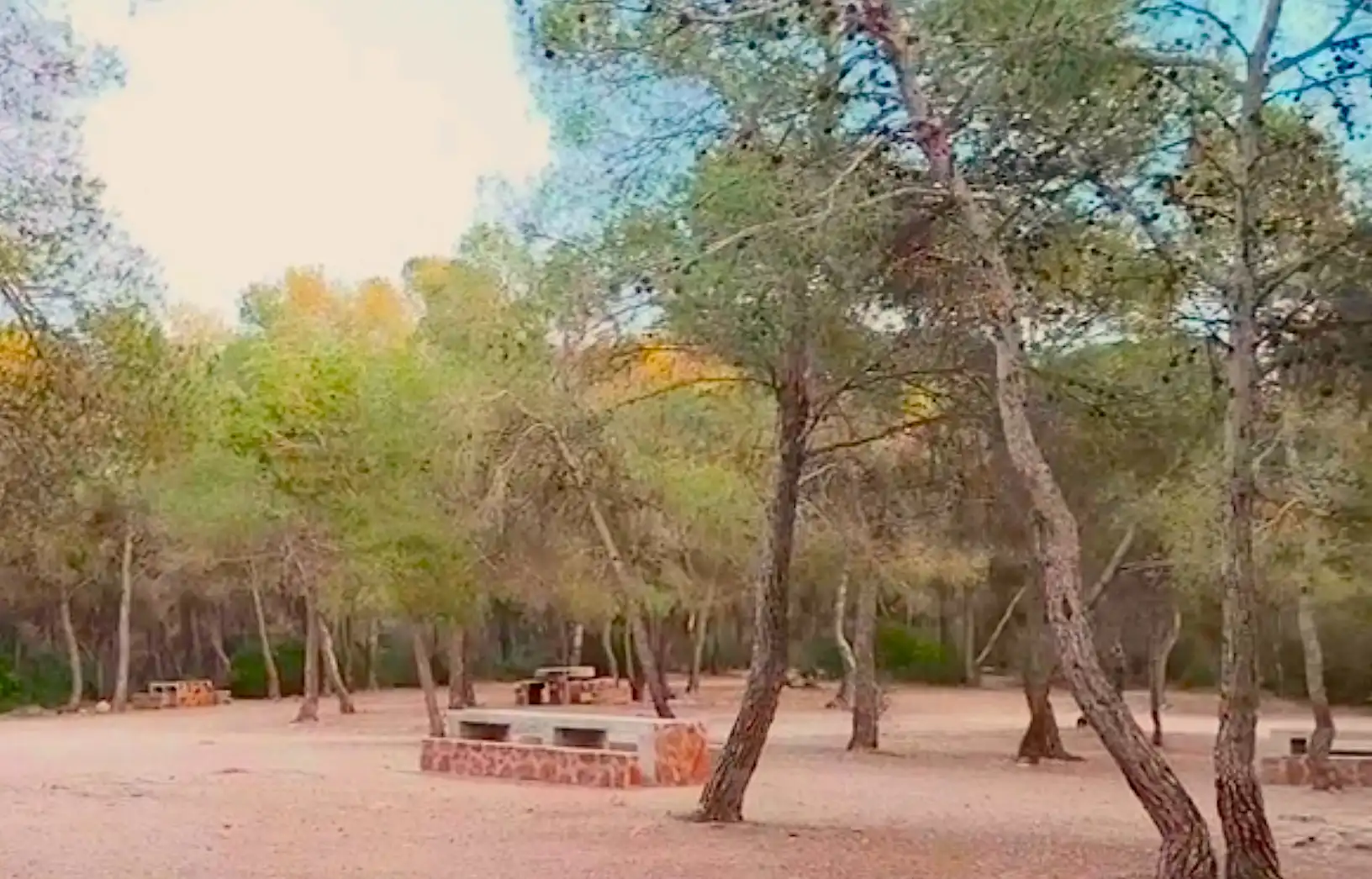 Exterior view of Country homes for sale in Vilamarxant  with Private garden, Terrace and Storage room