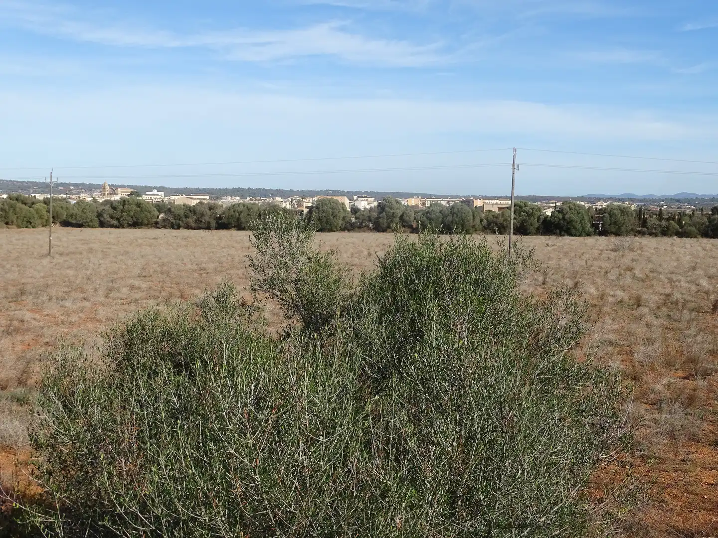 Casa o xalet en venda en Campos amb Terrassa